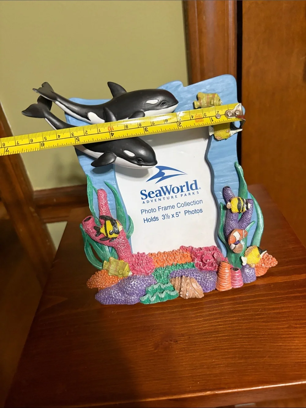 SeaWorld Blue Ocean Dolphin Photo Frame-Holds 3 1/2 x 5” Photo